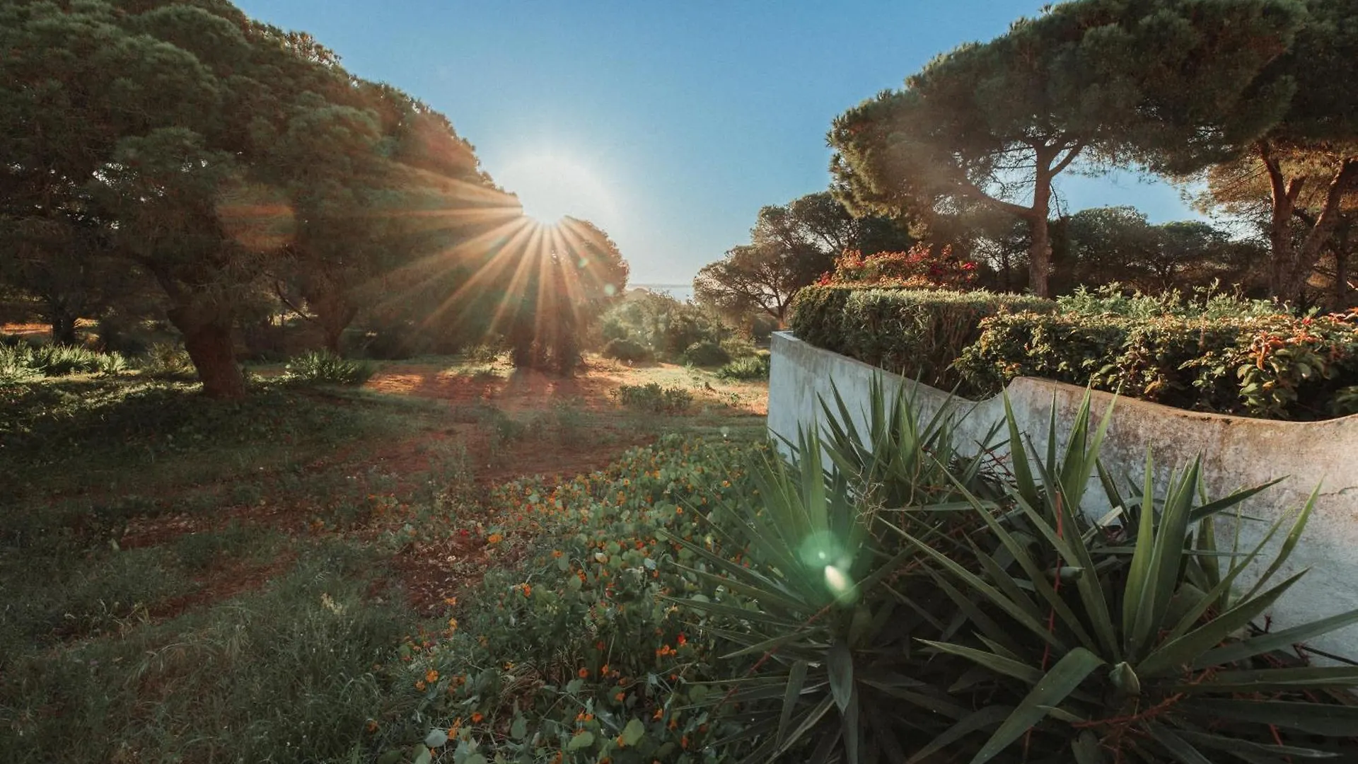 Casa Velha Apartments - Adults Friendly Albufeira